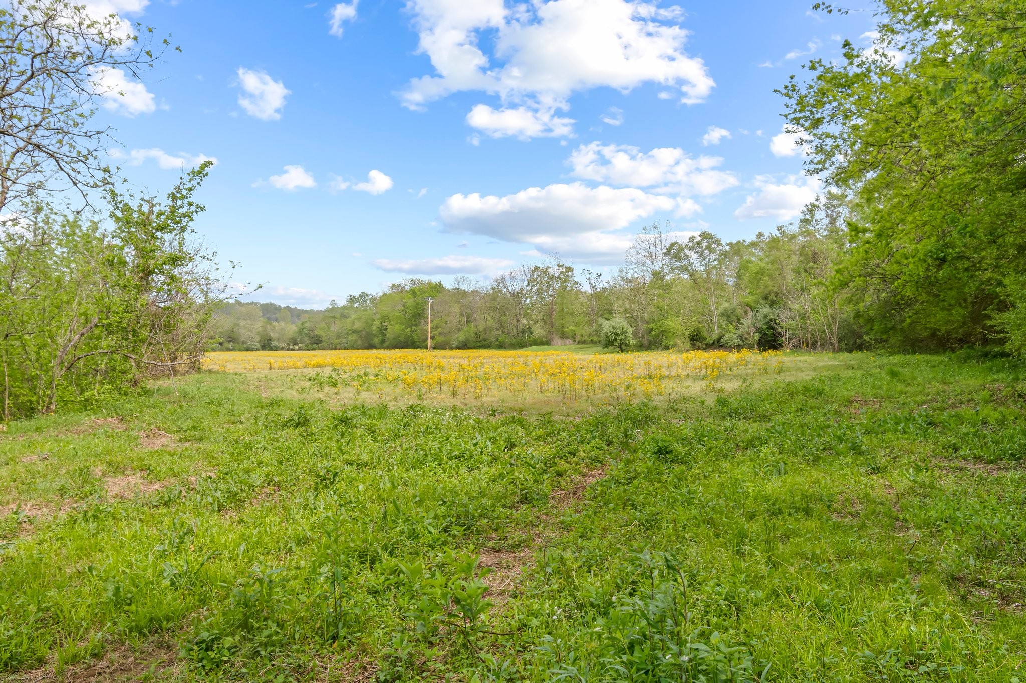 0 Backside Beaverdam Road Centerville, TN 37033 - Photo 47 of 53 Gallery Image 47