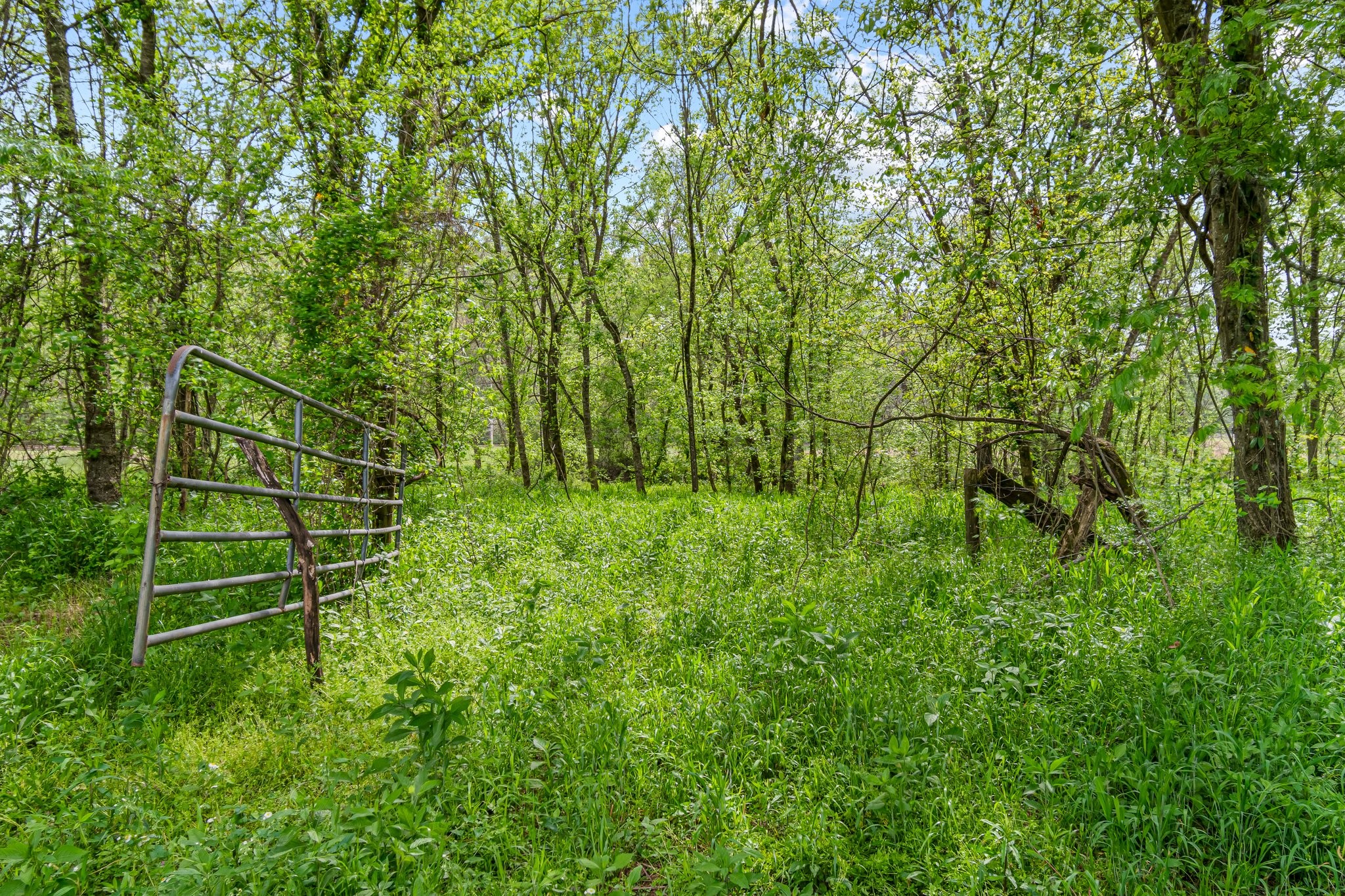 0 Backside Beaverdam Road Centerville, TN 37033 - Photo 48 of 53 Gallery Image 48