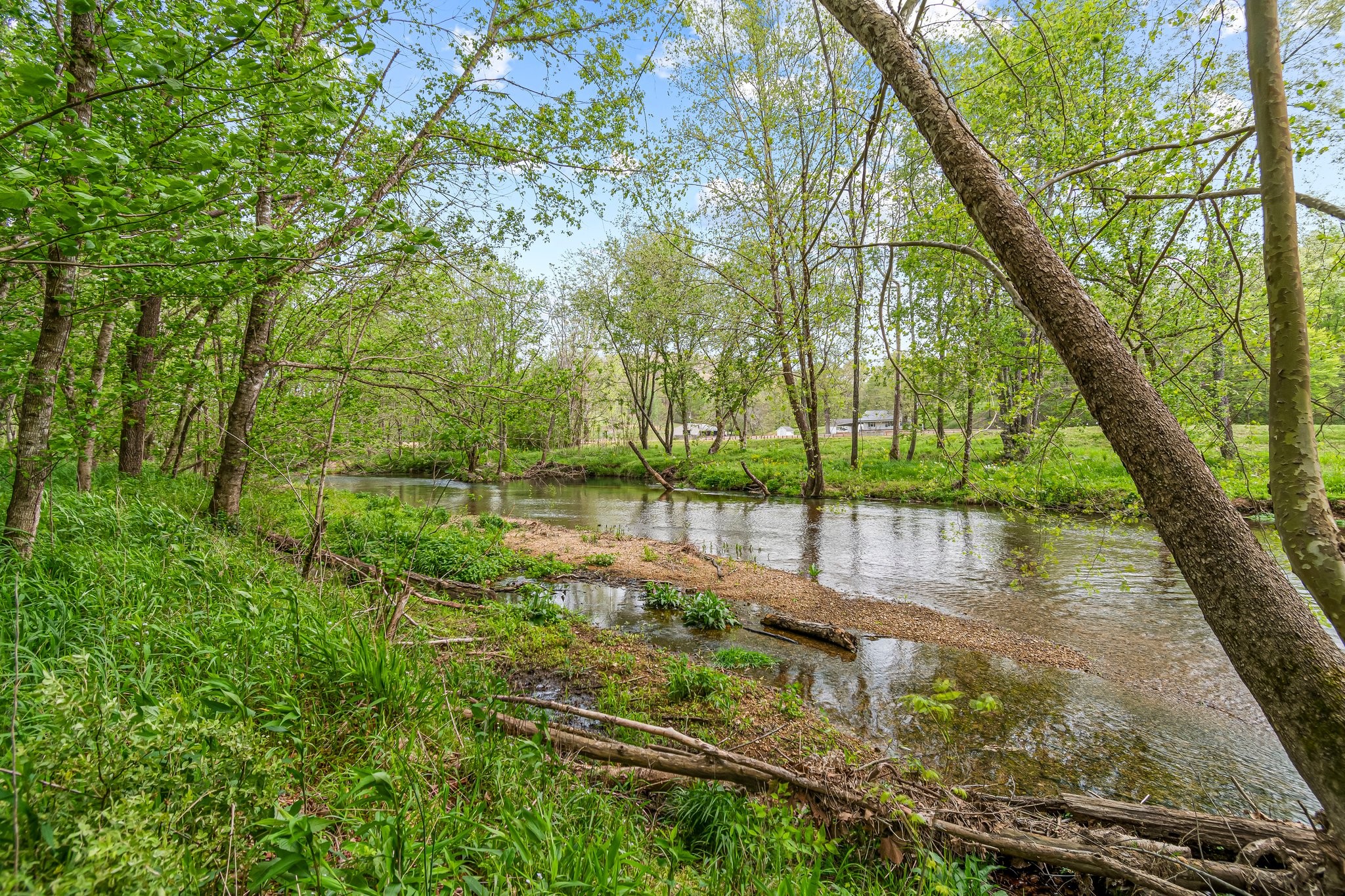 0 Backside Beaverdam Road Centerville, TN 37033 - Photo 50 of 53 Gallery Image 50