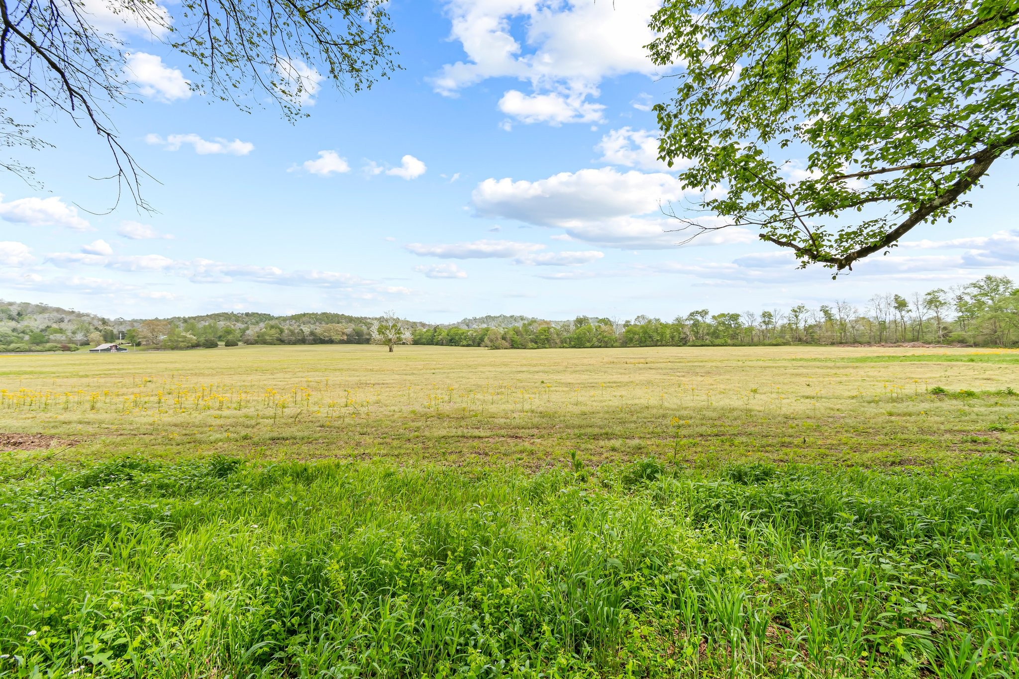 0 Backside Beaverdam Road Centerville, TN 37033 - Photo 5 of 53 Gallery Image 5