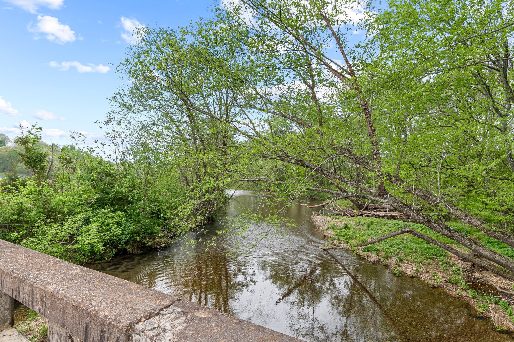 0 Backside Beaverdam Road Centerville, TN 37033 - Photo 52 of 53 Gallery Image 52