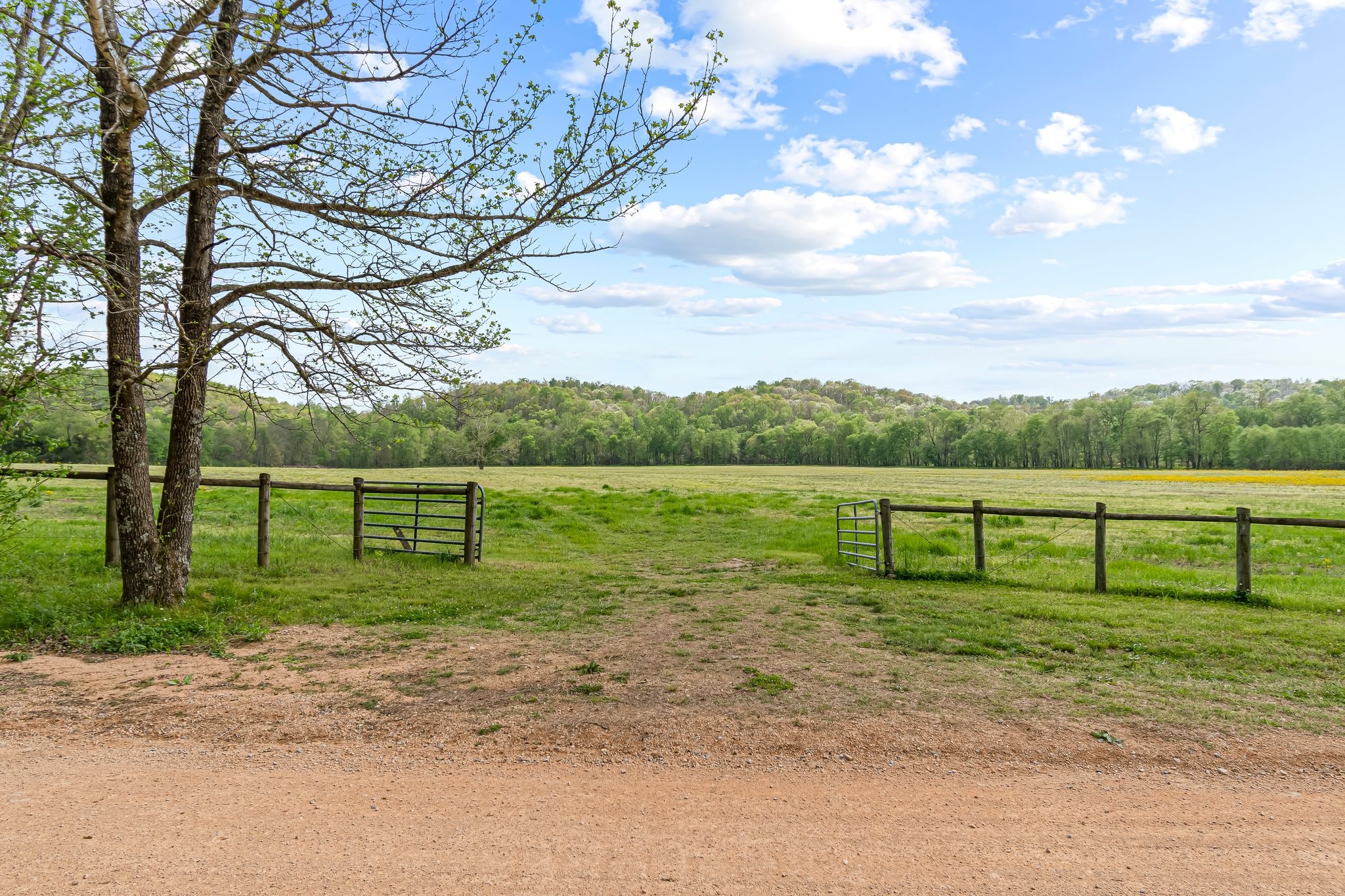 0 Backside Beaverdam Road Centerville, TN 37033 - Photo 53 of 53 Gallery Image 53