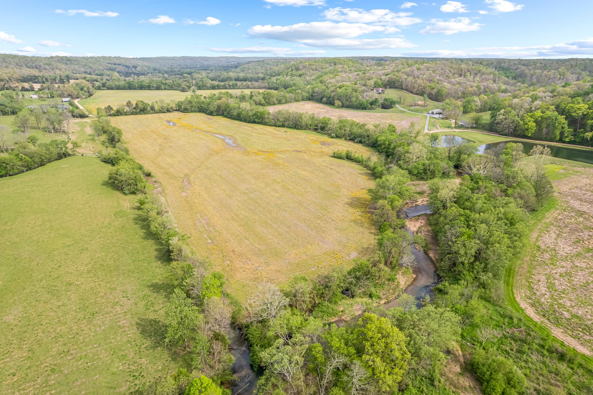 0 Backside Beaverdam Road Centerville, TN 37033 - Photo 6 of 53 Gallery Image 6