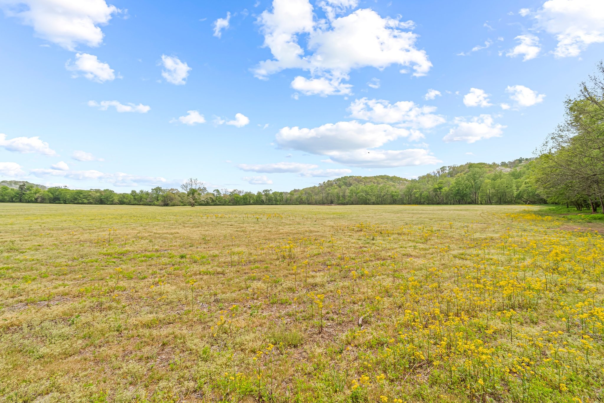 0 Backside Beaverdam Road Centerville, TN 37033 - Photo 7 of 53 Gallery Image 7