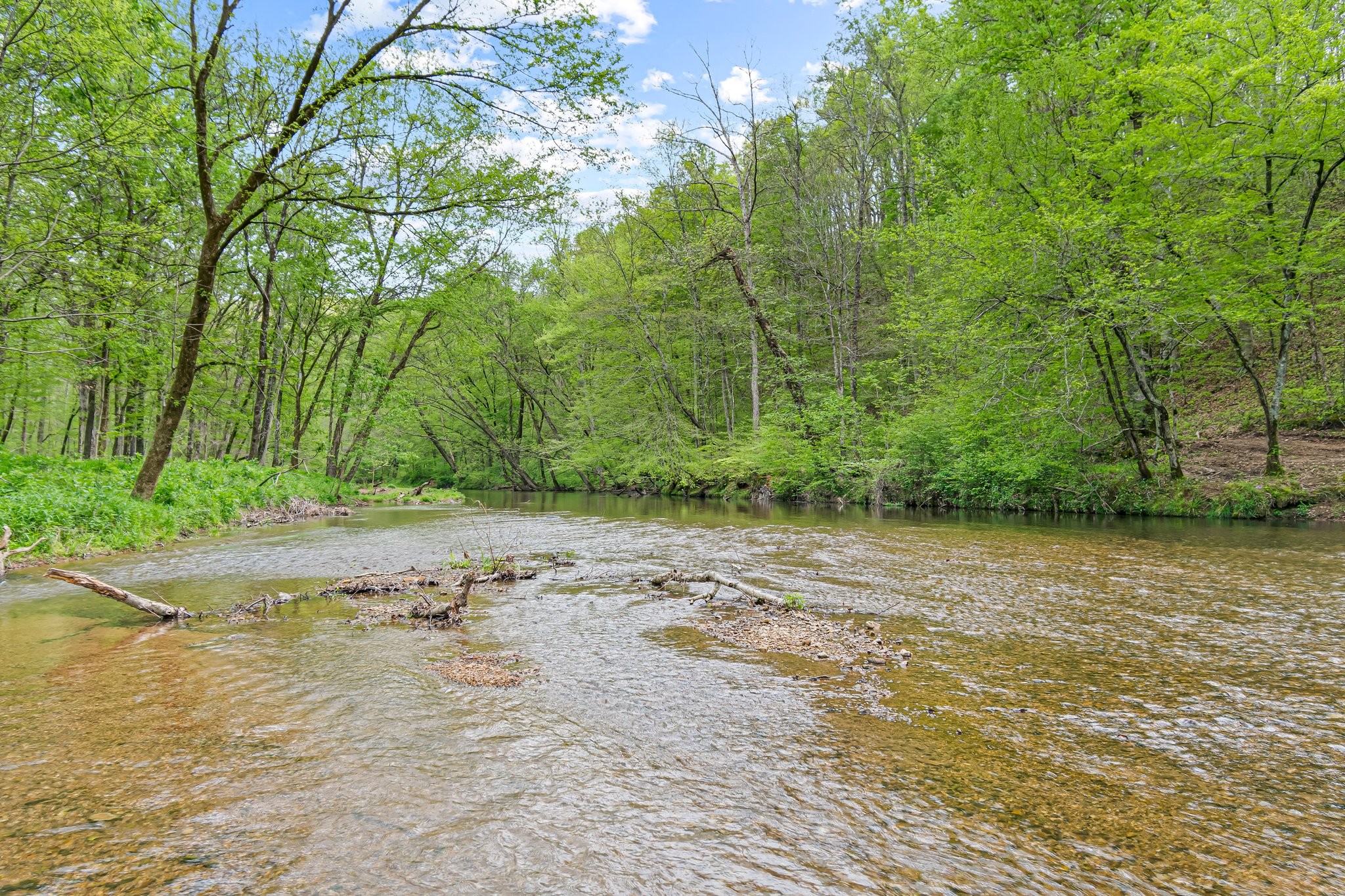 0 Backside Beaverdam Road Centerville, TN 37033 - Photo 8 of 53 Gallery Image 8