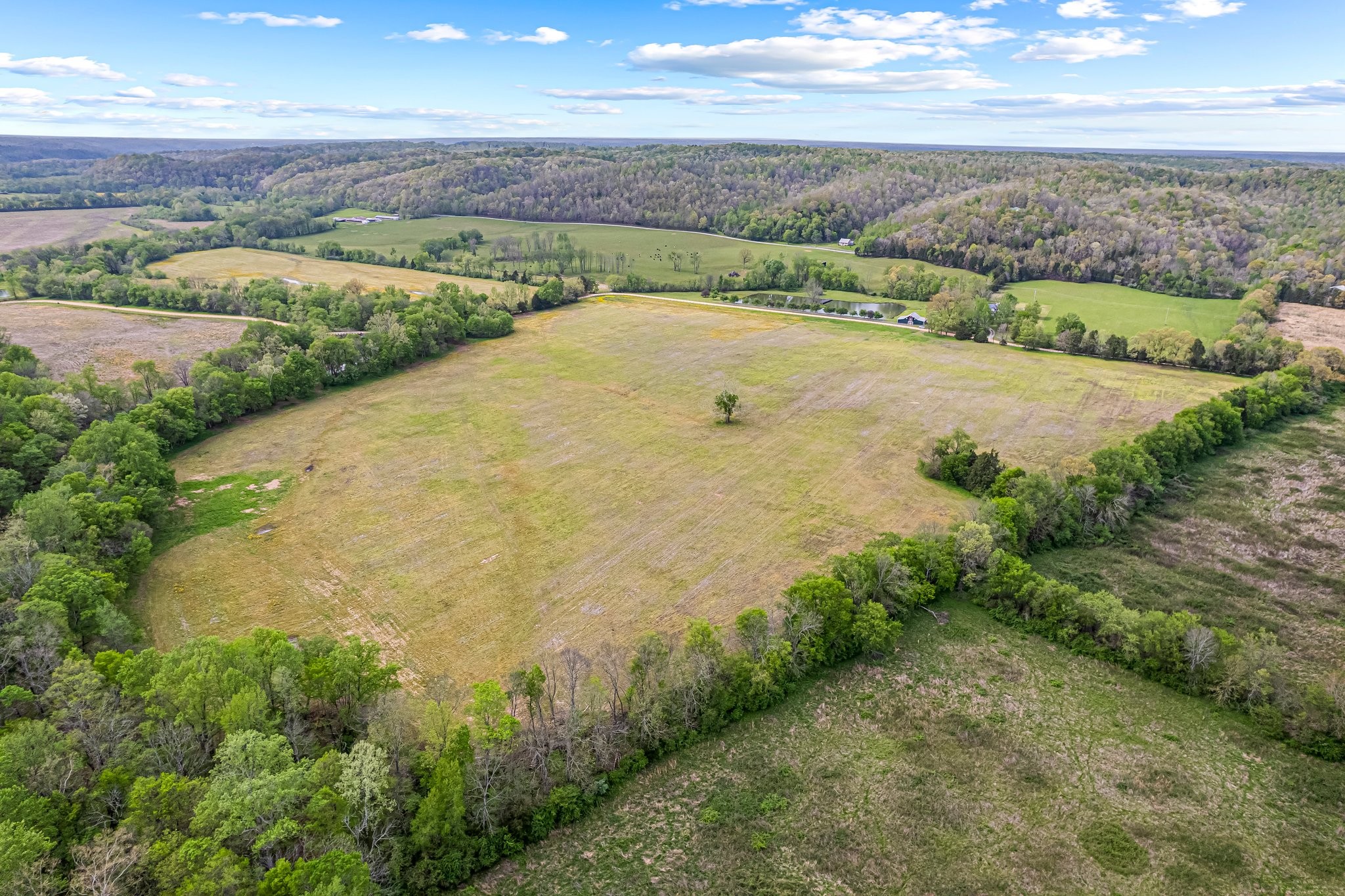 0 Backside Beaverdam Road Centerville, TN 37033 - Photo 9 of 53 Gallery Image 9