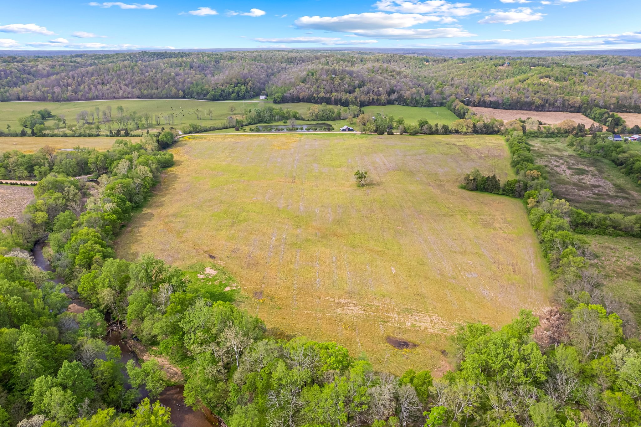 0 Backside Beaverdam Road Centerville, TN 37033 - Photo 10 of 53 Gallery Image 10
