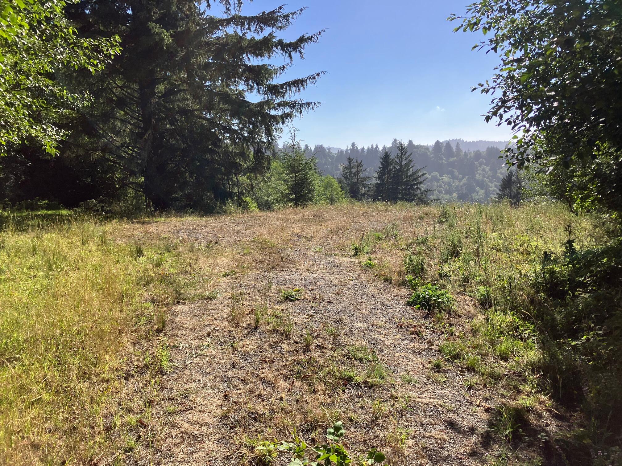 0 Mattole Road Ferndale, CA 95536 - Photo 3 of 10