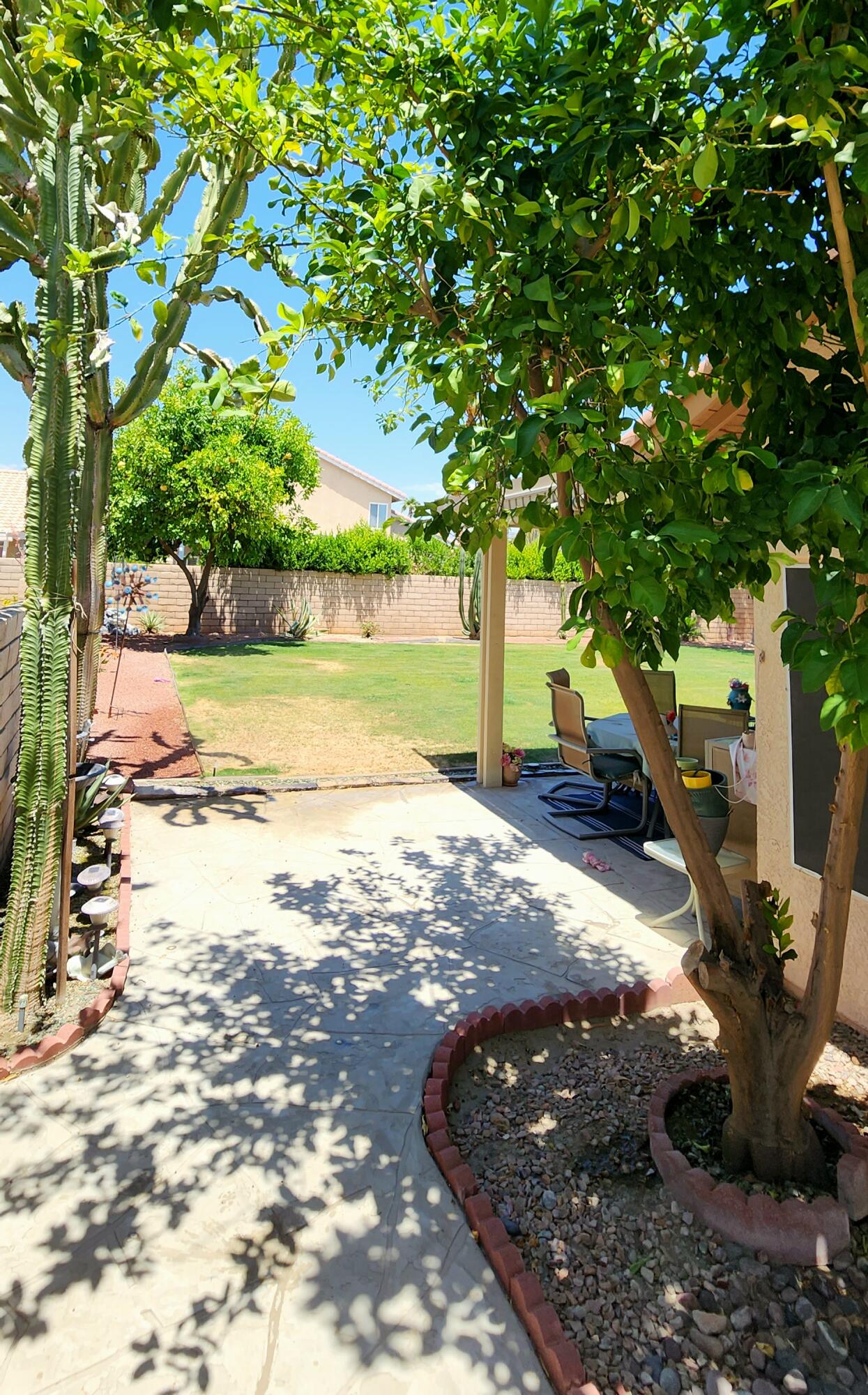 78820 Irwin Circle La Quinta, CA 92253 - Photo 4 of 12 a view of a yard with an outdoor space