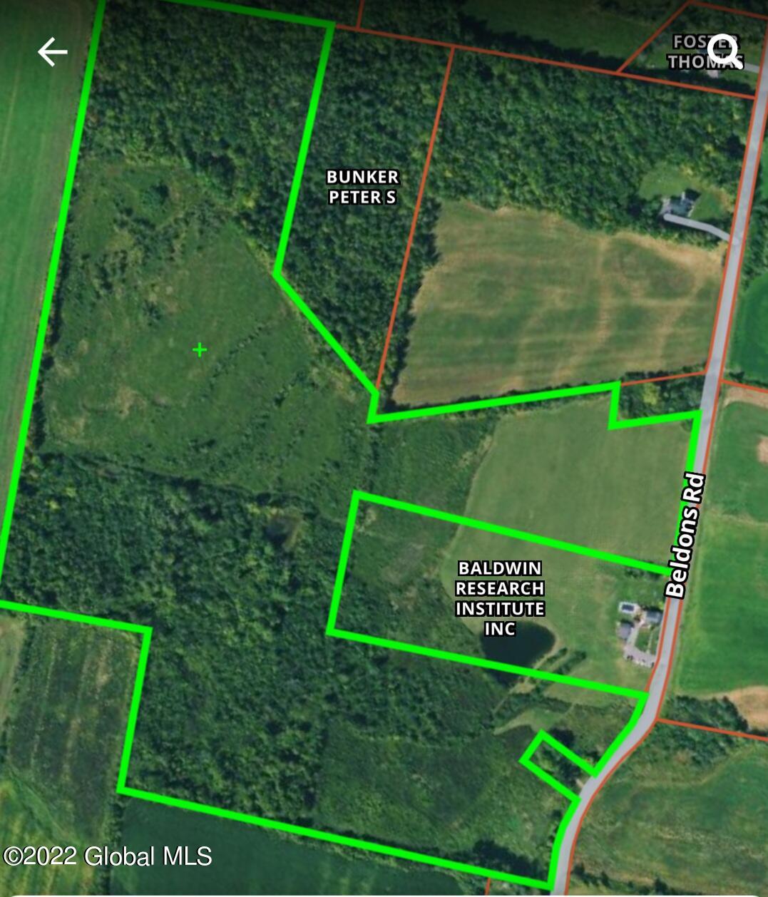 L6.2 Belldons Road Amsterdam, NY 12010 - Photo 3 of 5 Screenshot_20221118_110743_onX Hunt