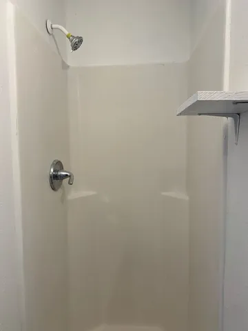 a shower view in a bathroom