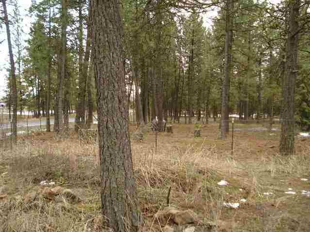 21308 South Mill Road Spangle, WA 99031 - Photo 15 of 20