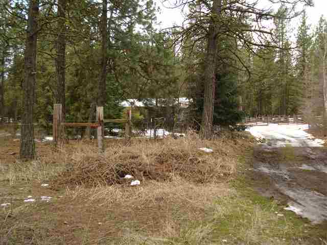 21308 South Mill Road Spangle, WA 99031 - Photo 16 of 20