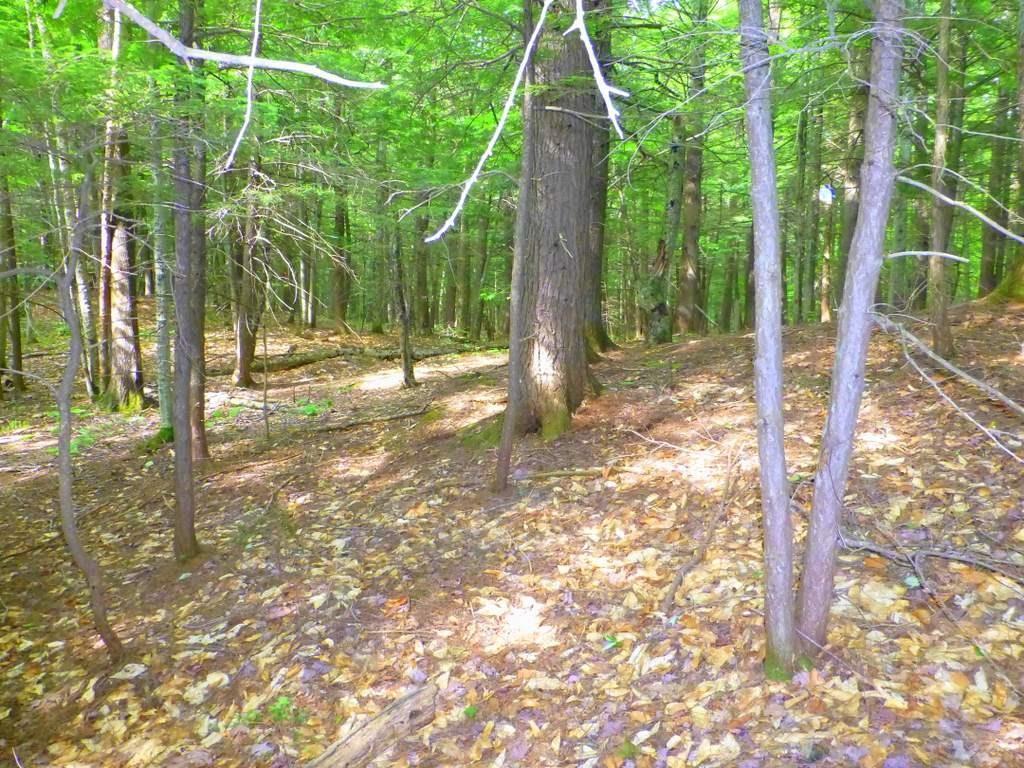 Lot #4 Burbank Hill Road Strong, ME 04983 - Photo 18 of 19 Photo