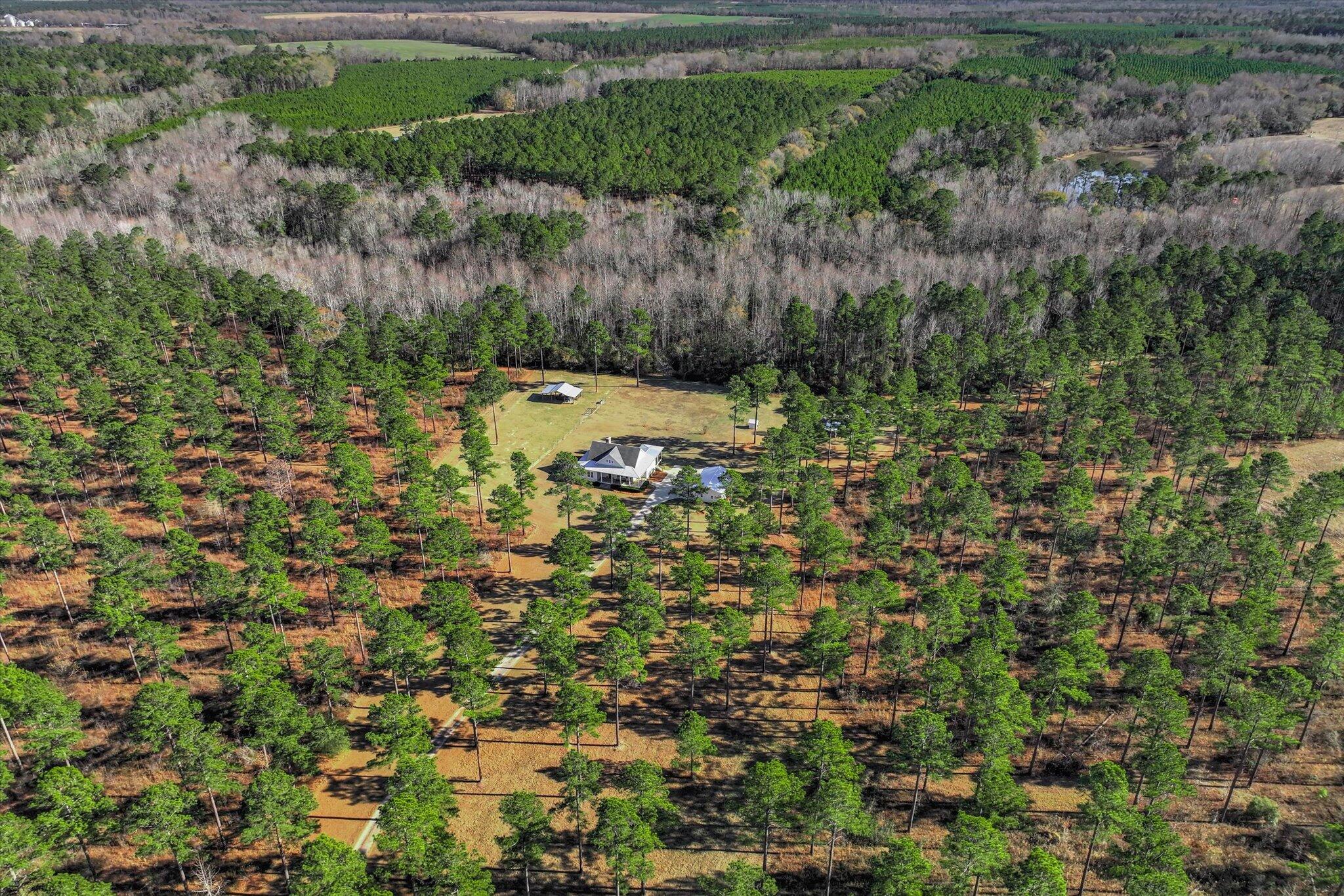 873 Joyner-Oglesby Road Sardis, GA 30456 - Photo 59 of 69 61-125