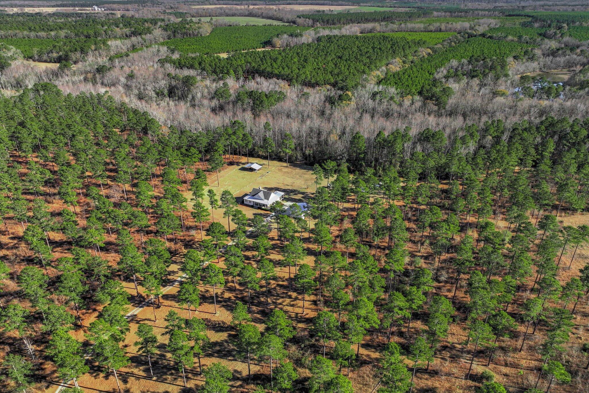 873 Joyner-Oglesby Road Sardis, GA 30456 - Photo 60 of 69 62-126