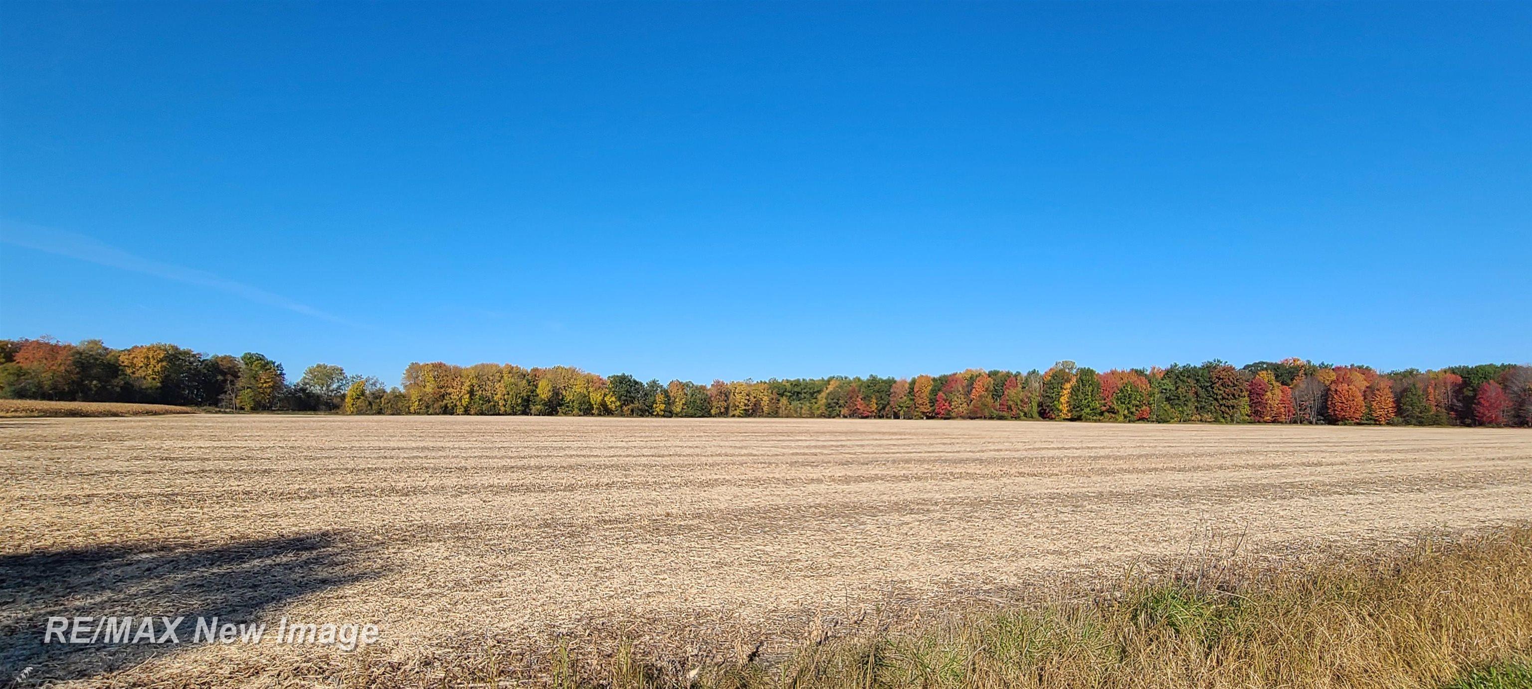 12000 Amman Road St. Charles, MI 48655 - Photo 5 of 9 Gallery Image 5