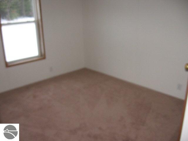 4841 Quigley Road Alger, MI 48610 - Photo 8 of 8 1751539-7.JPG