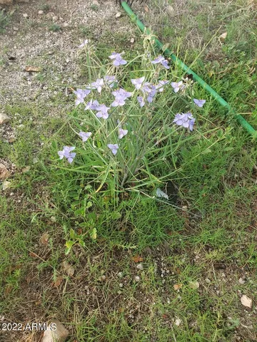 $274,000 | 52116 North Hutton Peak Road, Miami, AZ 85539