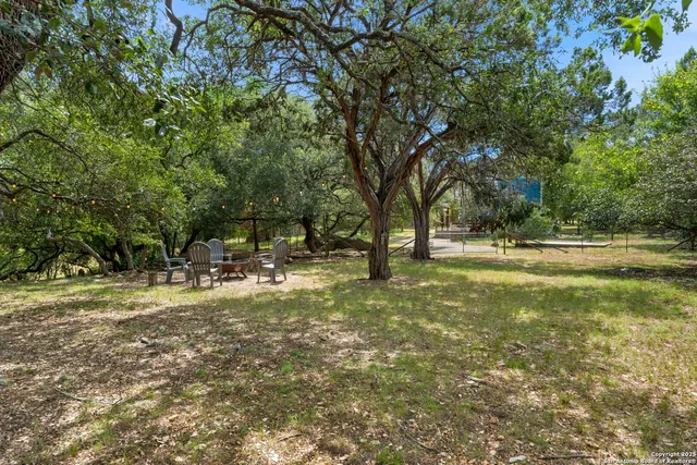 a view of yard with trees