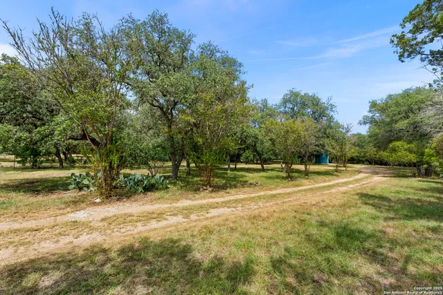 a view of backyard with green space