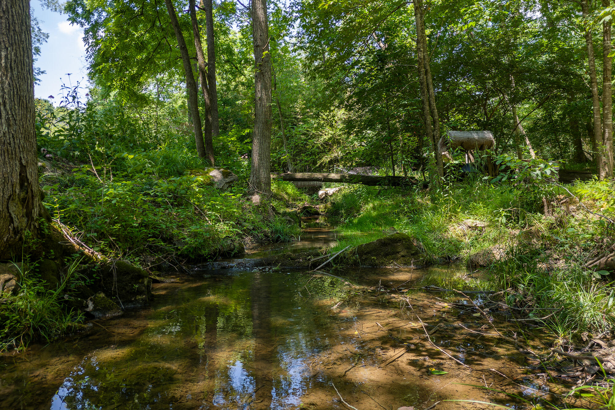 1 Deer Lick Road Bristol, TN 37620 - Photo 72 of 76 2023-07-06 14.37.06-dng
