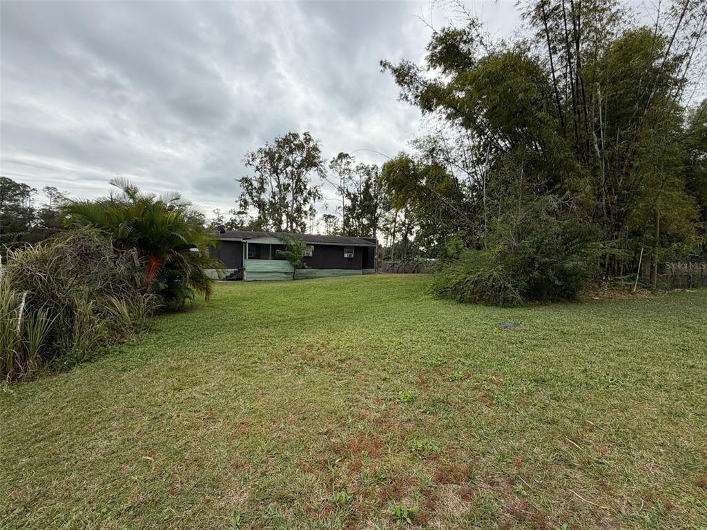5071 Hibiscus Road Kissimmee, FL 34746 - Photo 12 of 12 a view of a yard with an tree