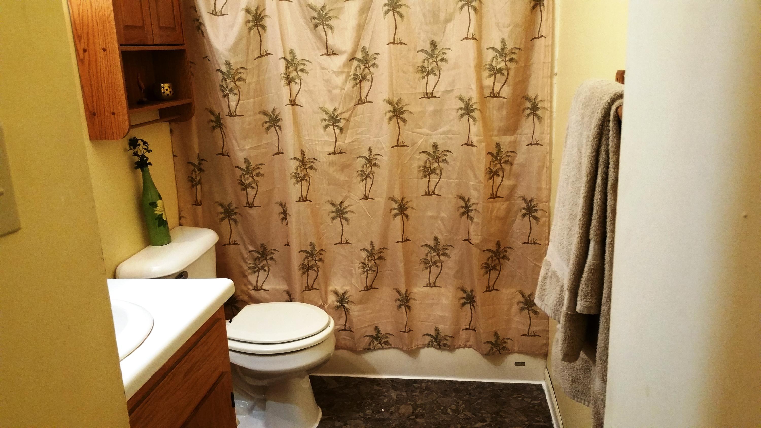 2853 6 Mile Road Maryville, TN 37803 - Photo 15 of 20 Master full bath