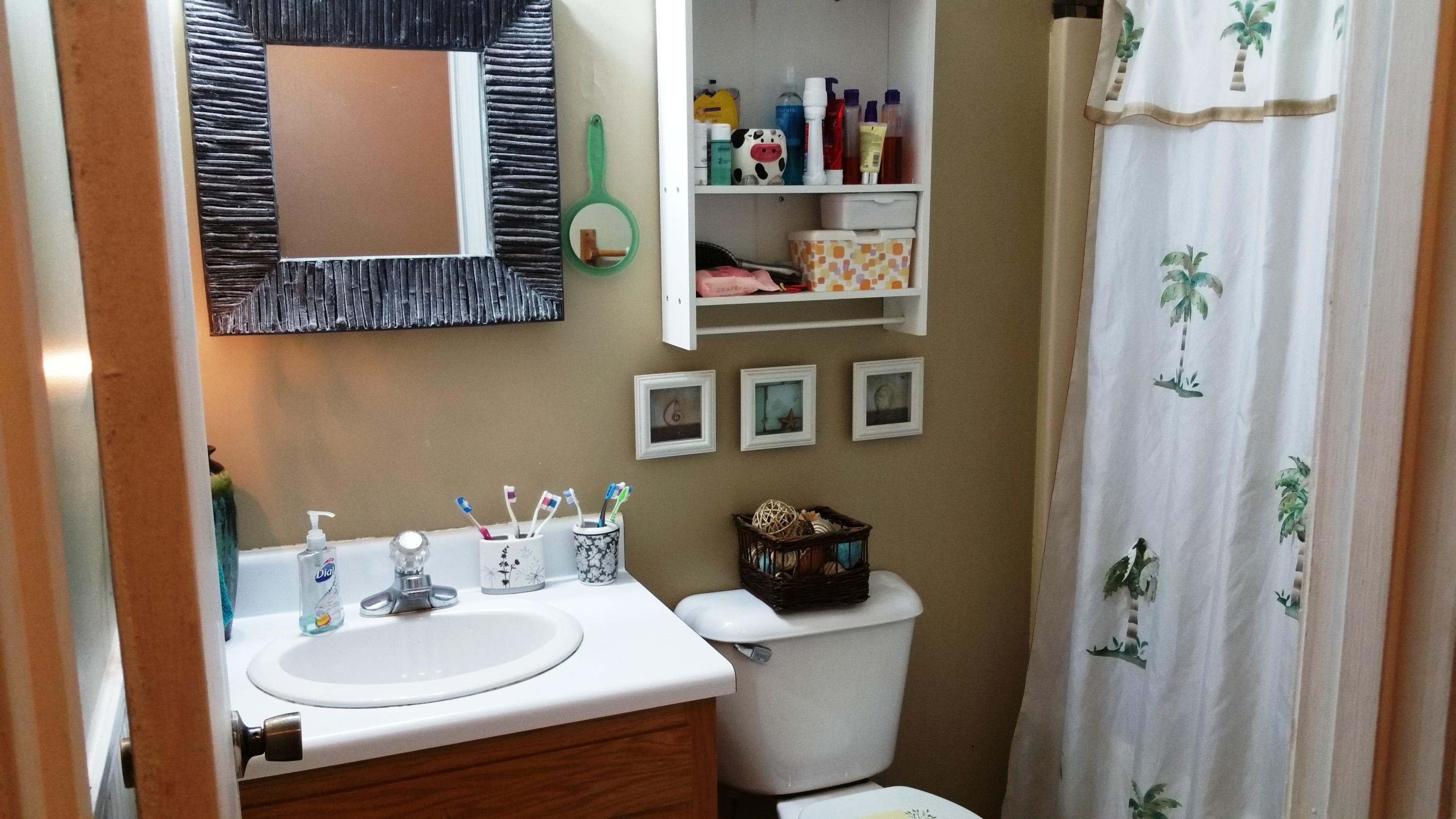 2853 6 Mile Road Maryville, TN 37803 - Photo 16 of 20 Full bath 2