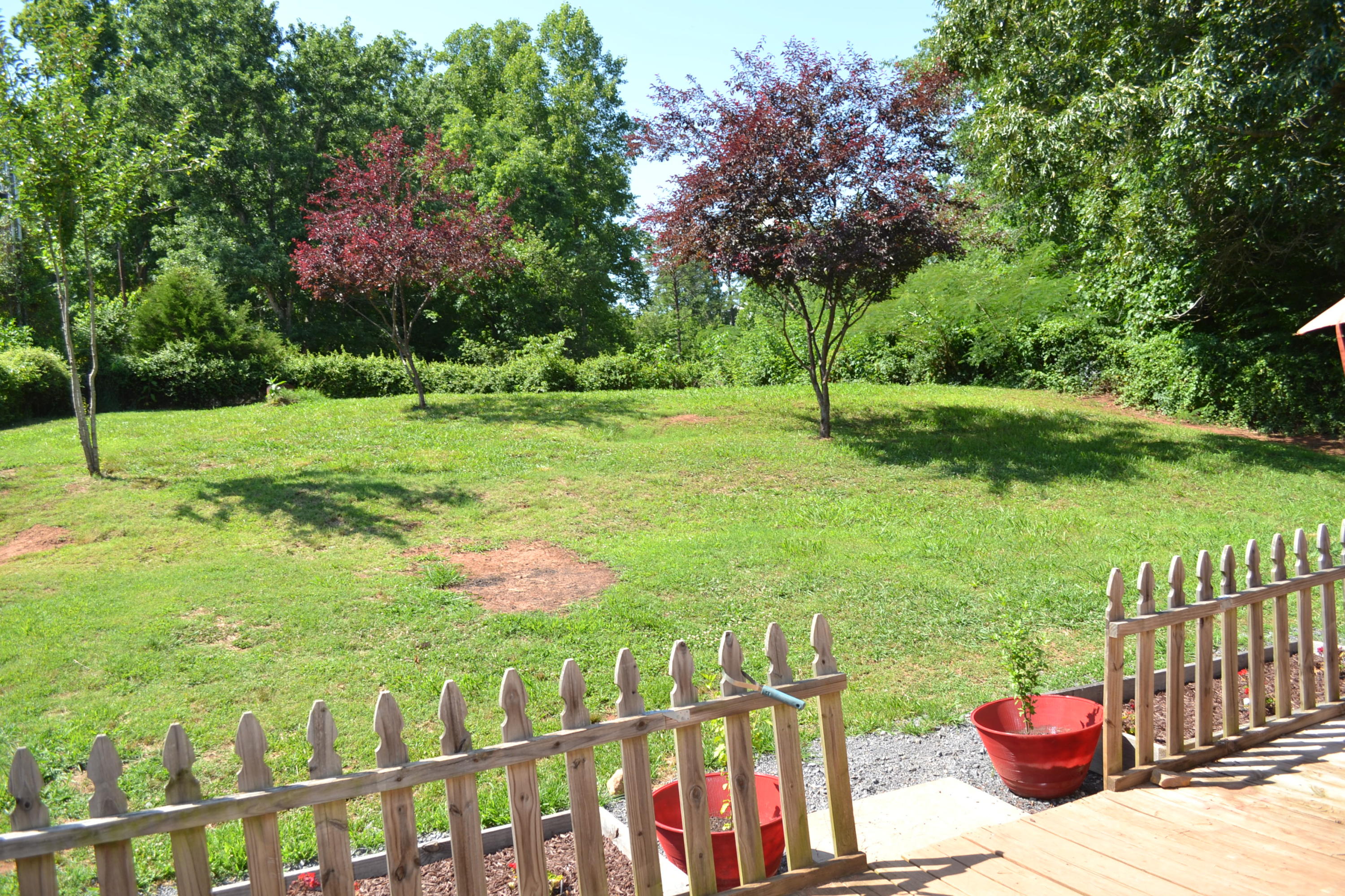 2853 6 Mile Road Maryville, TN 37803 - Photo 19 of 20 Nice yard