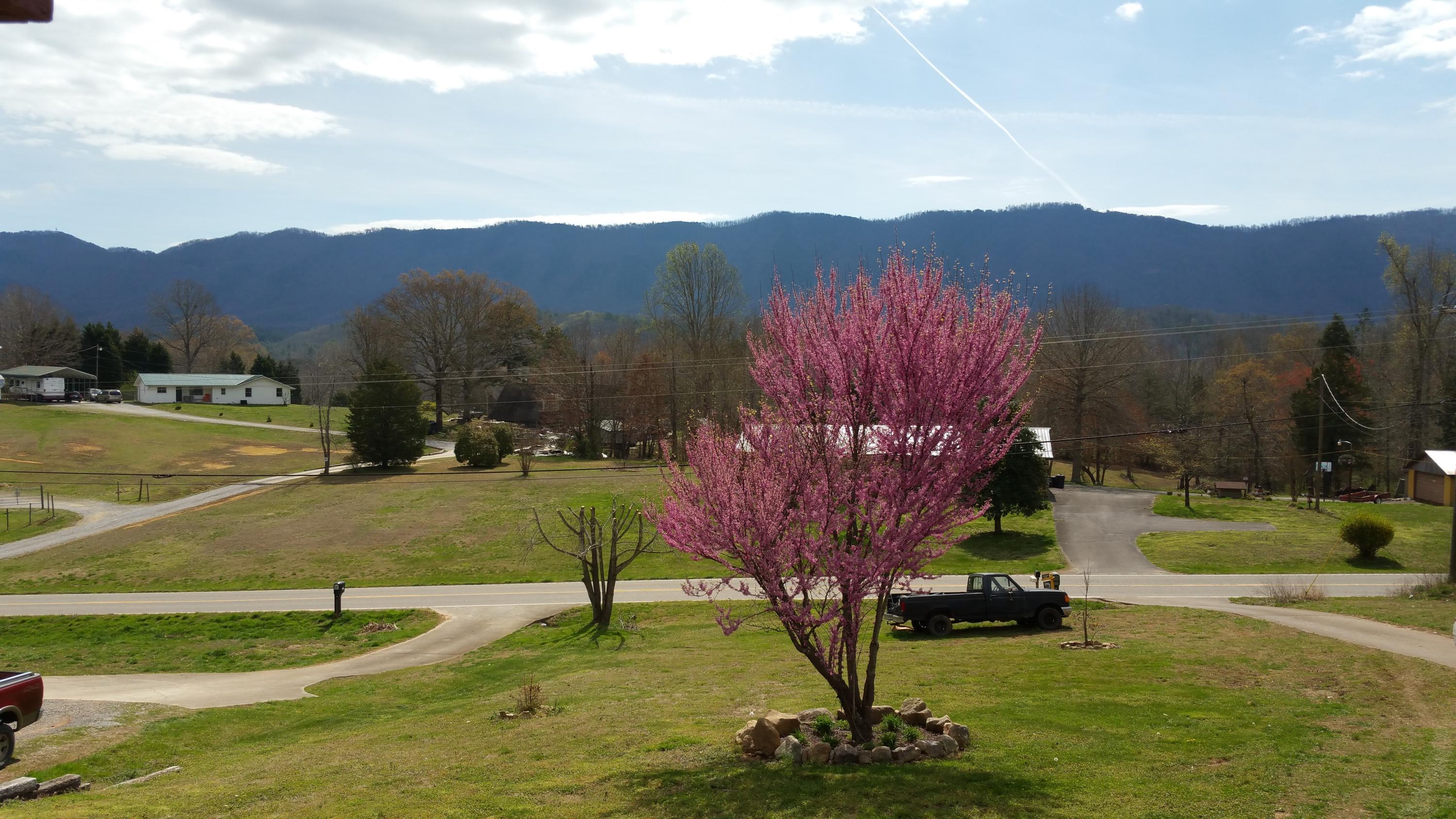 2853 6 Mile Road Maryville, TN 37803 - Photo 4 of 20 View!!!