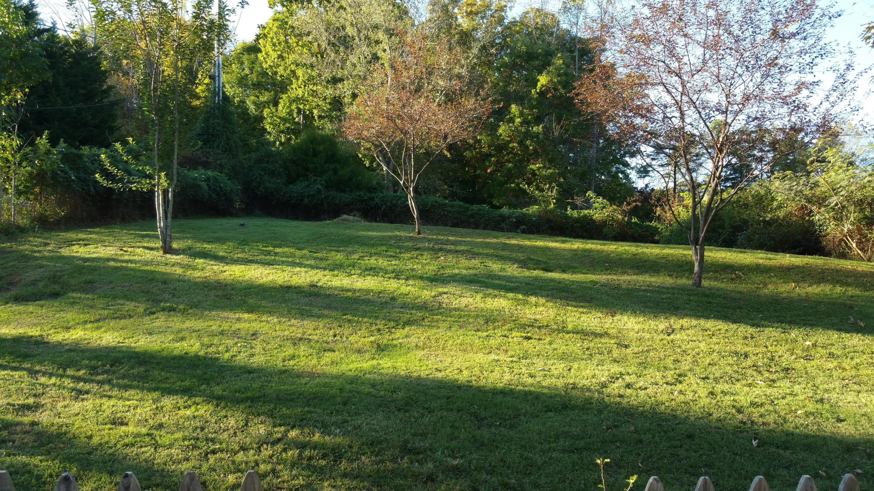 2853 6 Mile Road Maryville, TN 37803 - Photo 6 of 20 Large fenced in back yard