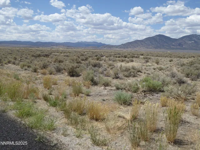 a view of a dry field with lots of bushes