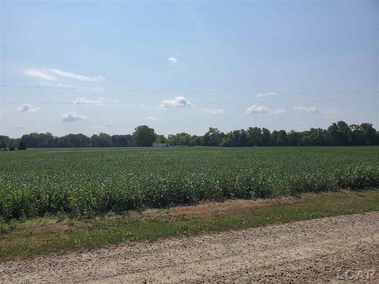 12000 Rouget Road Deerfield, MI 49238 - Photo 2 of 6