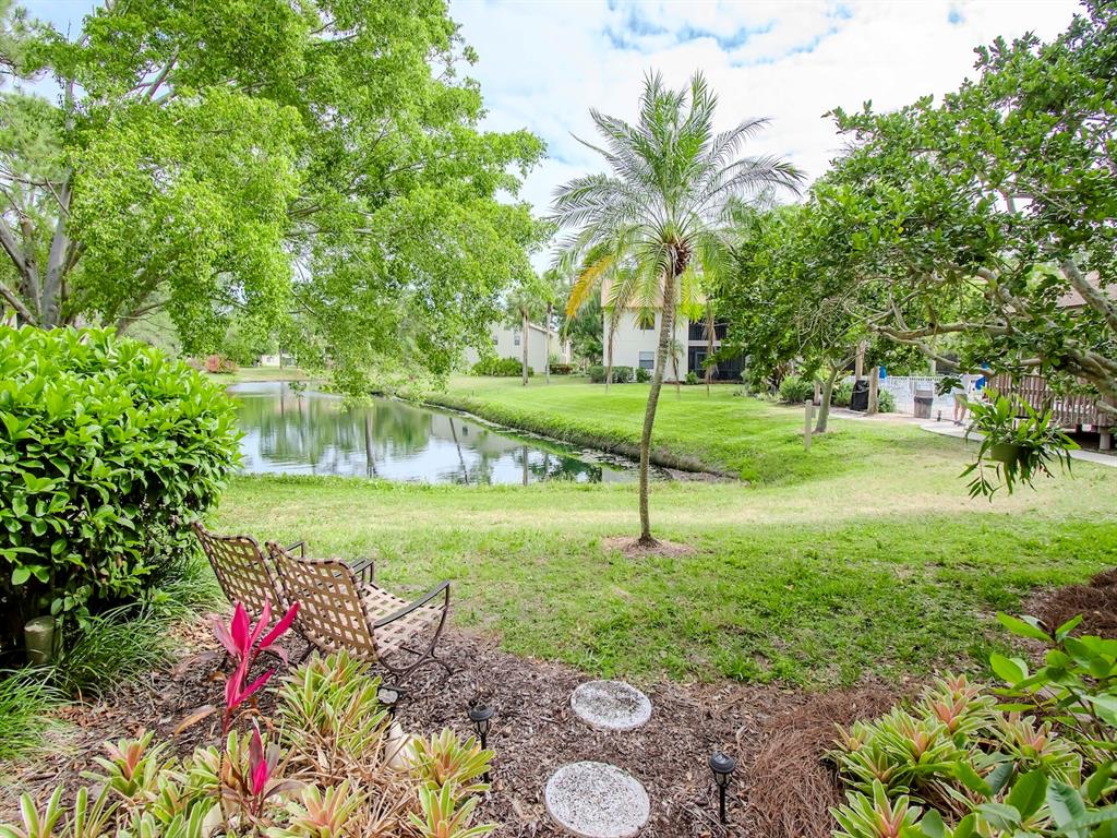 748 White Pine Tree Road, Unit 104 Venice, FL 34285 - Photo 1 of 1 a view of a garden with a tree