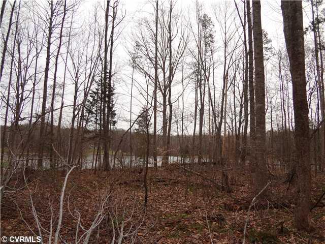2132 Hunters Mill Road Powhatan, VA 23139 - Photo 2 of 9 Other