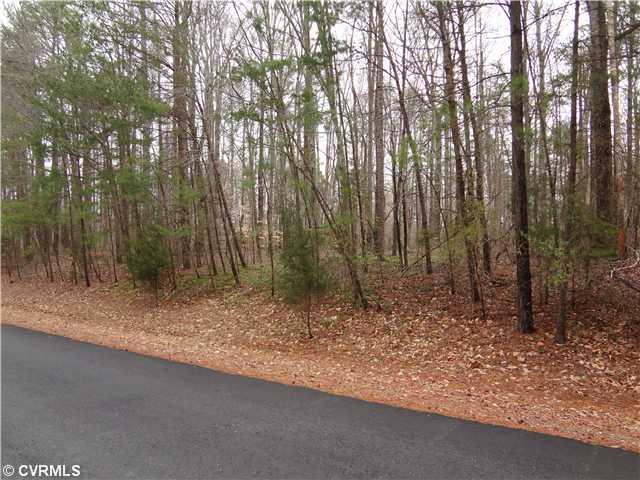 2132 Hunters Mill Road Powhatan, VA 23139 - Photo 4 of 9 Other