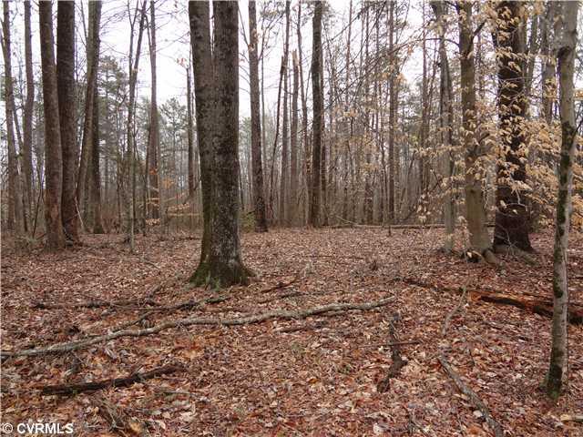 2132 Hunters Mill Road Powhatan, VA 23139 - Photo 6 of 9 Land/Lot