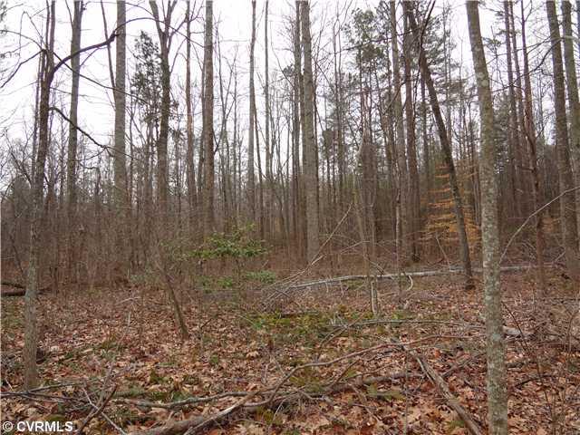 2132 Hunters Mill Road Powhatan, VA 23139 - Photo 7 of 9 Land/Lot