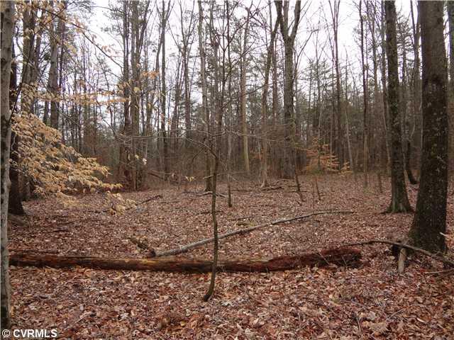 2132 Hunters Mill Road Powhatan, VA 23139 - Photo 8 of 9 Land/Lot