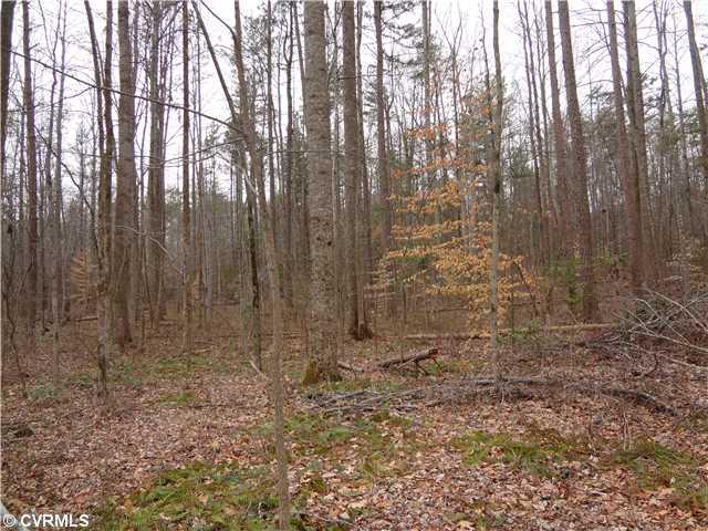 2132 Hunters Mill Road Powhatan, VA 23139 - Photo 9 of 9 Gallery Image 9