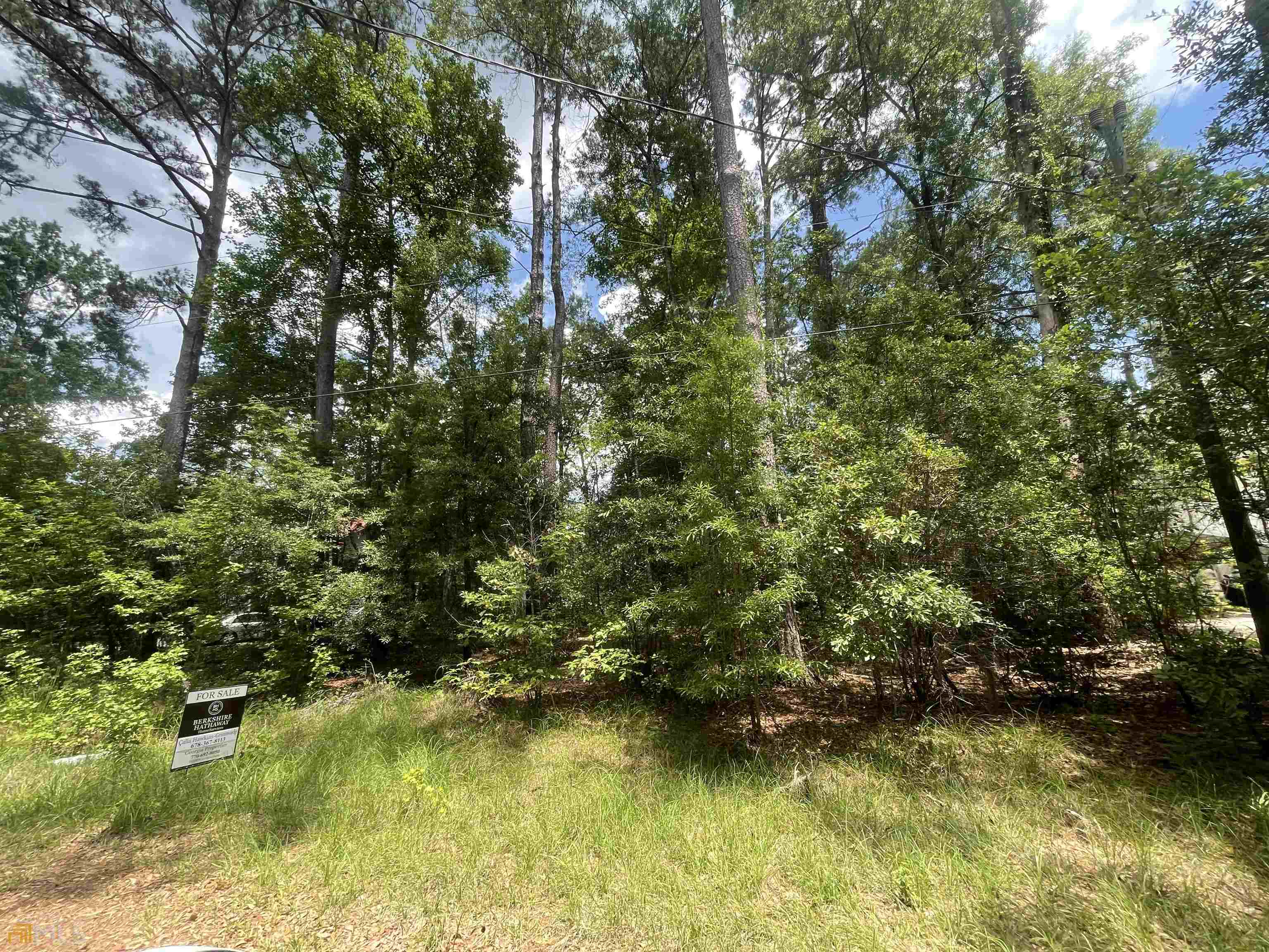0 Pinetree Road, Unit LOT 48 Midway, GA 31320 - Photo 1 of 1 Gallery Image 1