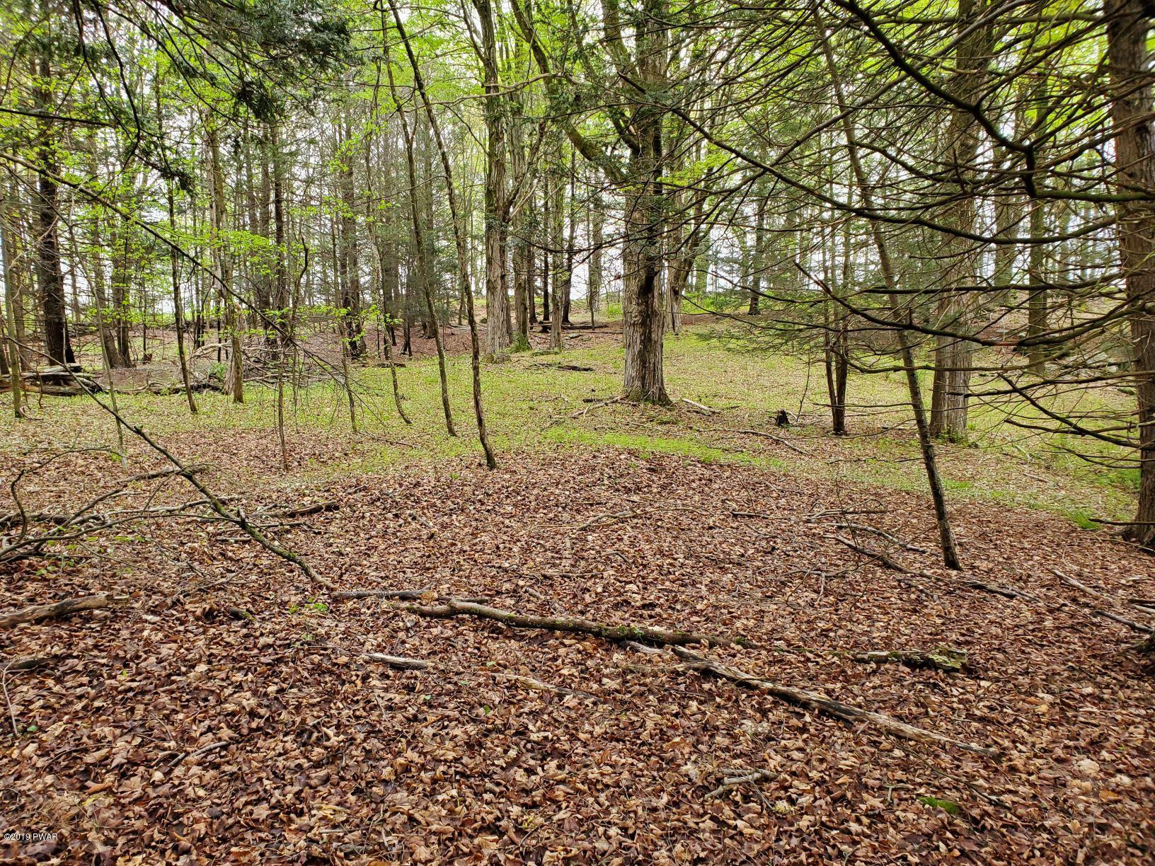 Lot 5 Ledgedale Rd Lake Lake Ariel, PA 18436 - Photo 2 of 9