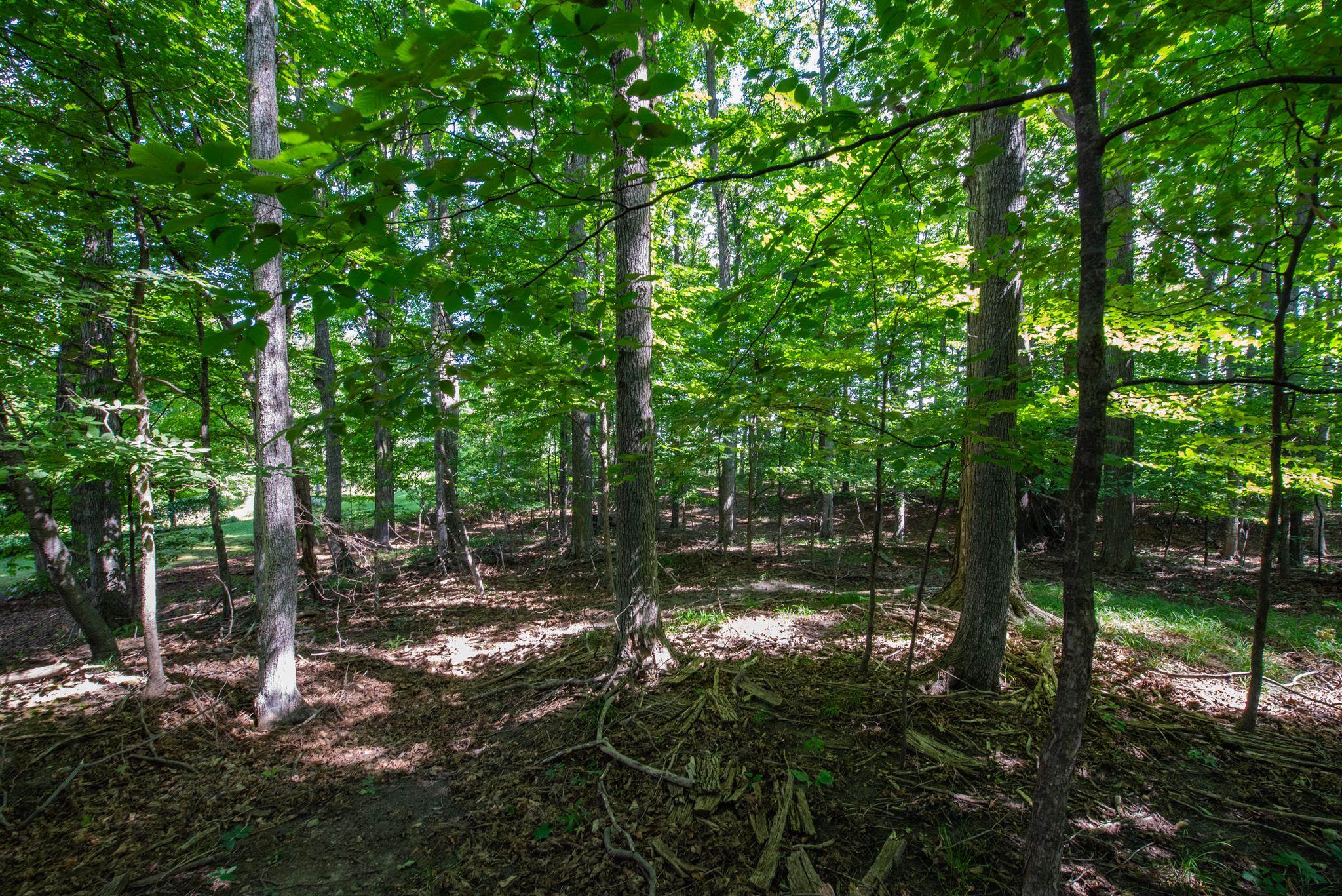 3300 Zimmerman Road Traverse City, MI 49685 - Photo 15 of 36