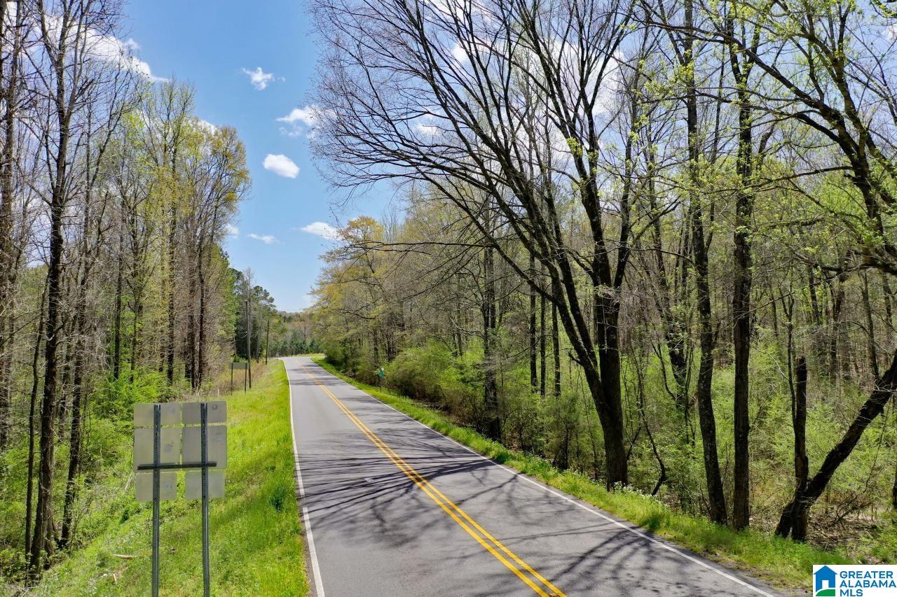 0 County Road 15 Locust Fork, AL 35097 - Photo 8 of 14