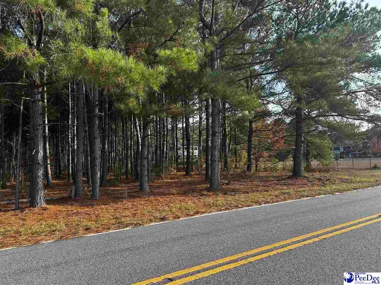 Tbd Maudes Road Marion, SC 29571 - Photo 1 of 1 Gallery Image 1