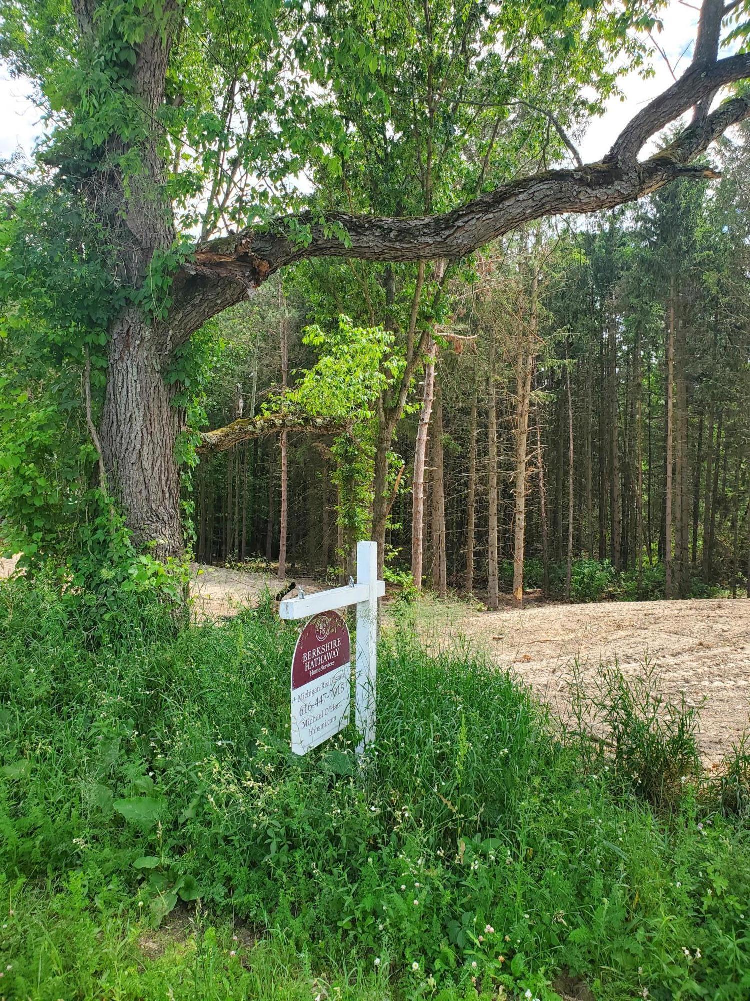 13130 Spruce Ridge Road Gowen, MI 49326 - Photo 1 of 4 20210617_143454