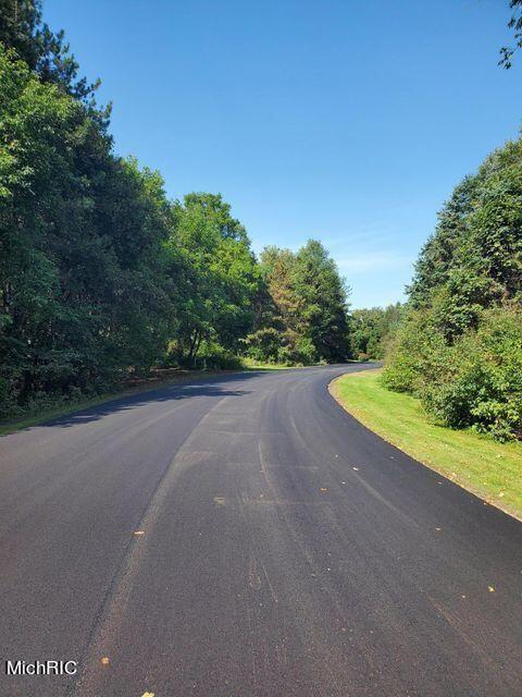 13130 Spruce Ridge Road Gowen, MI 49326 - Photo 3 of 4 SFC pic rd (2)
