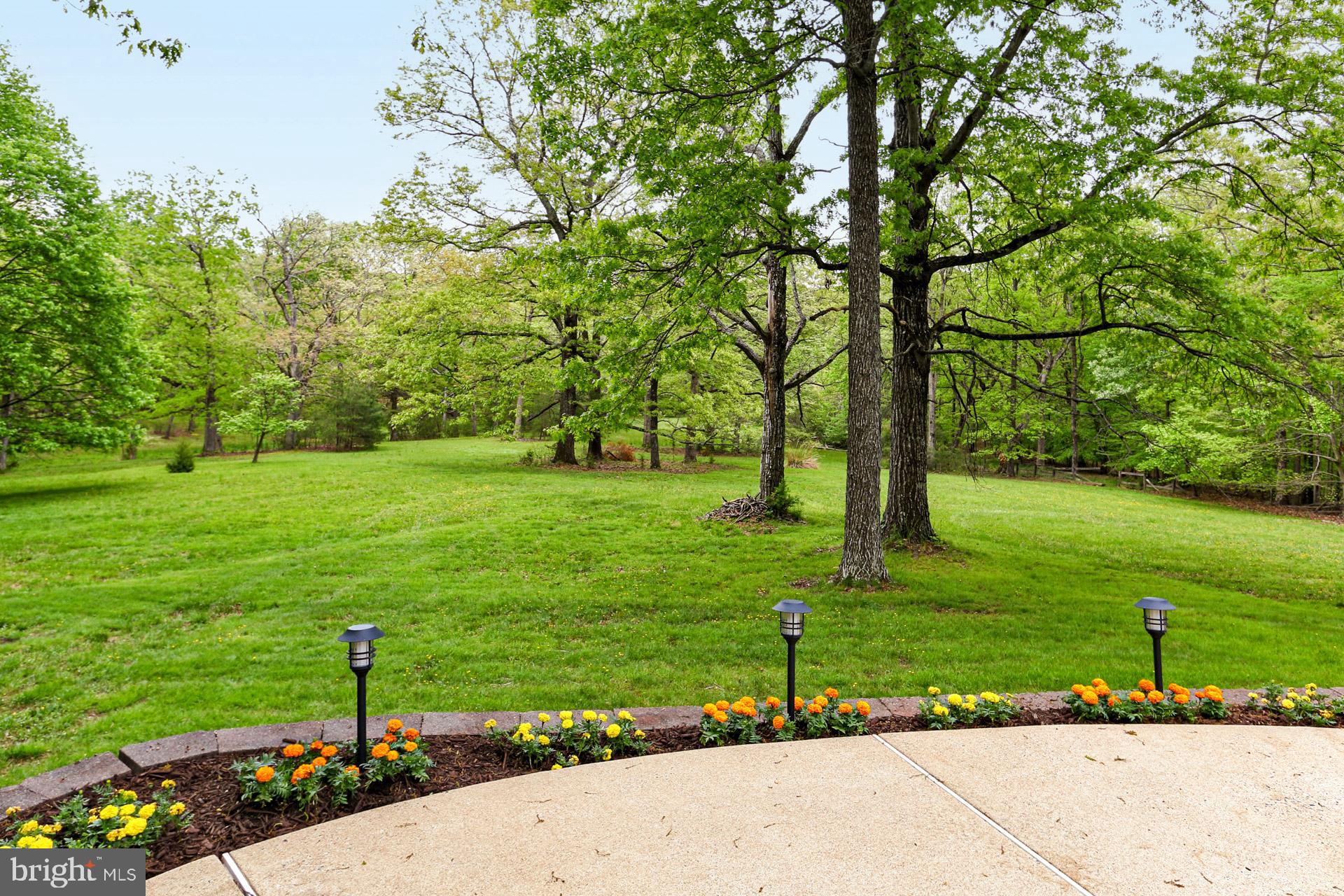 11709 Henderson Road Clifton, VA 20124 - Photo 36 of 48 Gallery Image 36