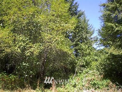 254 Stub Road Onalaska, WA 98570 - Photo 1 of 1 Gallery Image 1